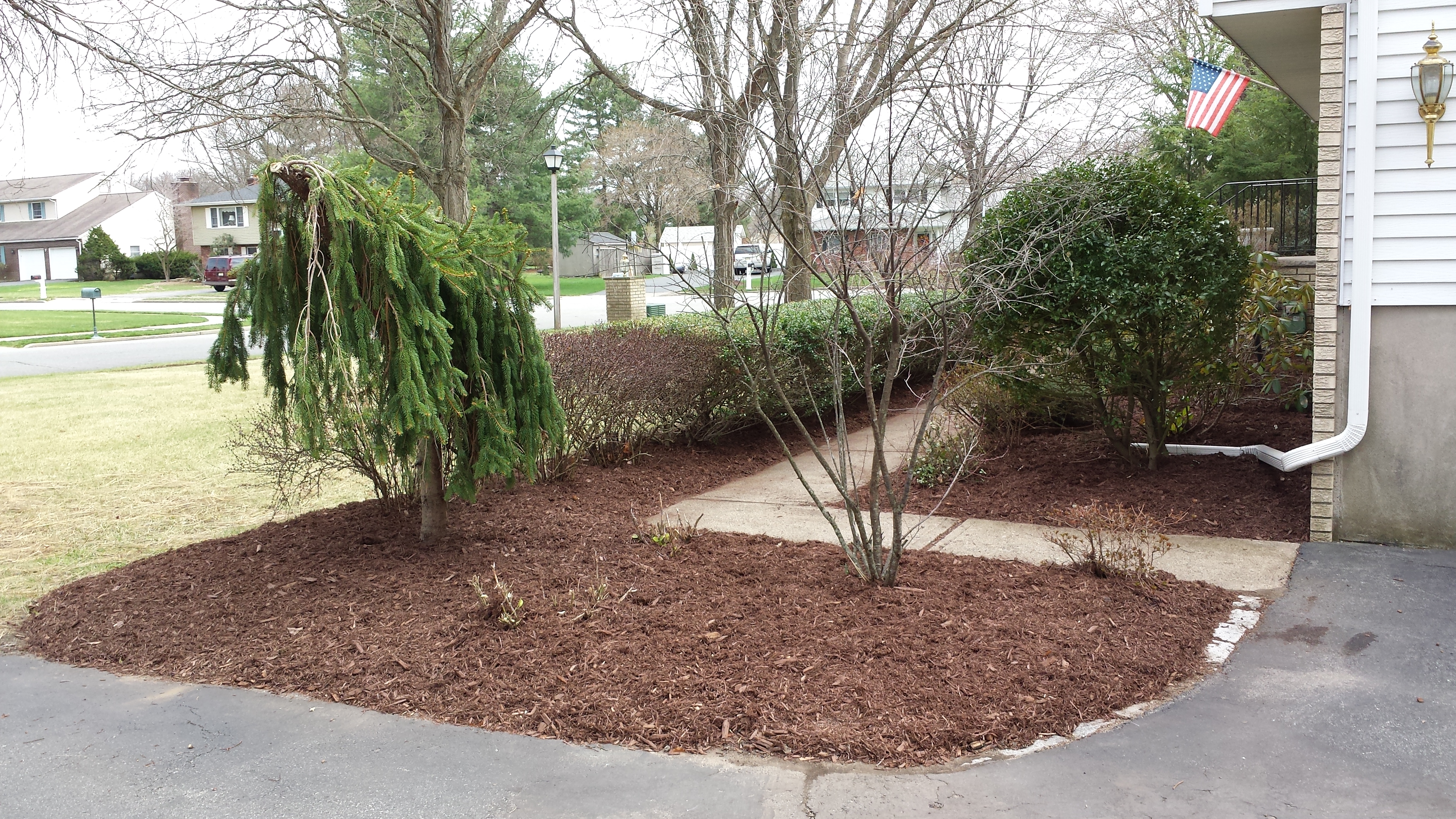 Fresh mulched bed and seeded lawn with hay