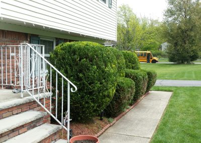 After Trimming Hedge