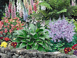 Variety of plantings and flowers in full bloom